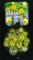 BANANA SWIRL-13-sb_photo.jpg